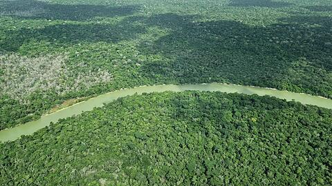Deutschland gibt viel Geld f&uuml;r einen neuen Tropenwaldfonds.