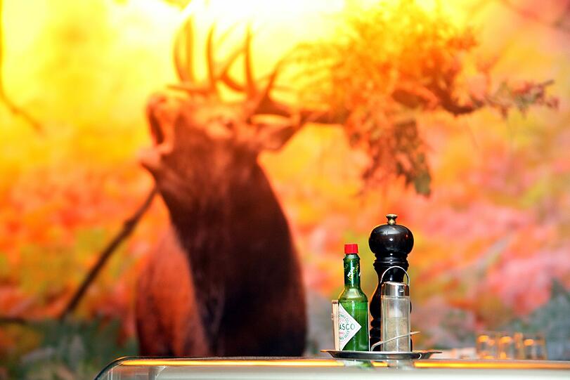 Der neue Hirsch hinter der Bar. Aber keine Angst, auch das alte Bild wird wieder hängen &ndash; denn das Platzhirsch-Leben soll werden wie früher.