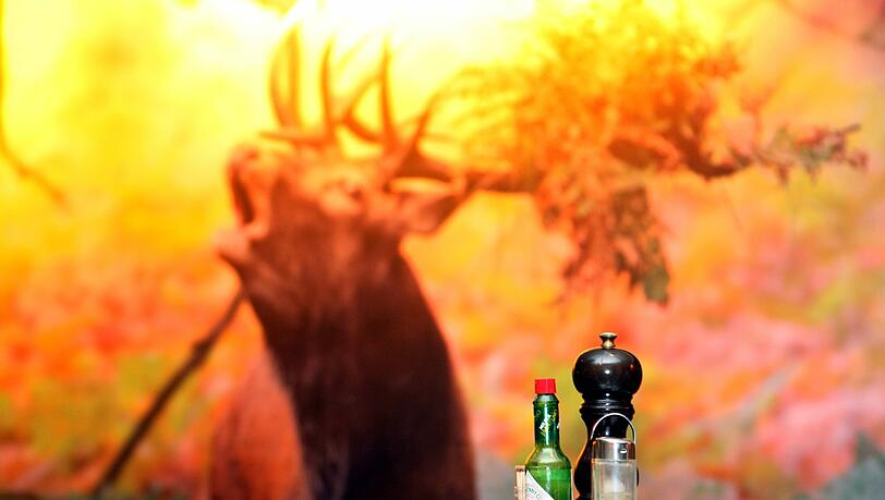 Der neue Hirsch hinter der Bar. Aber keine Angst, auch das alte Bild wird wieder hängen – denn das Platzhirsch-Leben soll werden wie früher. Der neue Hirsch hinter der Bar. Aber keine Angst, auch das alte Bild wird wieder hängen – denn das Platzhirsch-Leben soll werden wie früher.