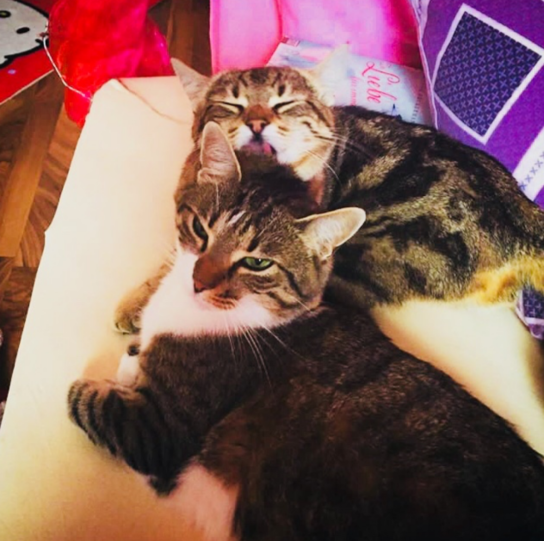 Diva & Chiara