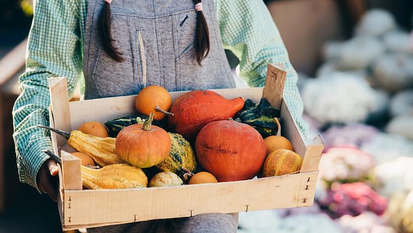 Kürbis ist ein Klassiker der Herbstküche.