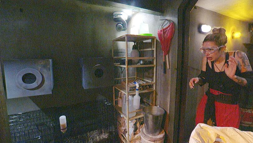 Vier Sterne ergatterte Ariel am Dienstagabend in der Dschungelpr&uuml;fung.