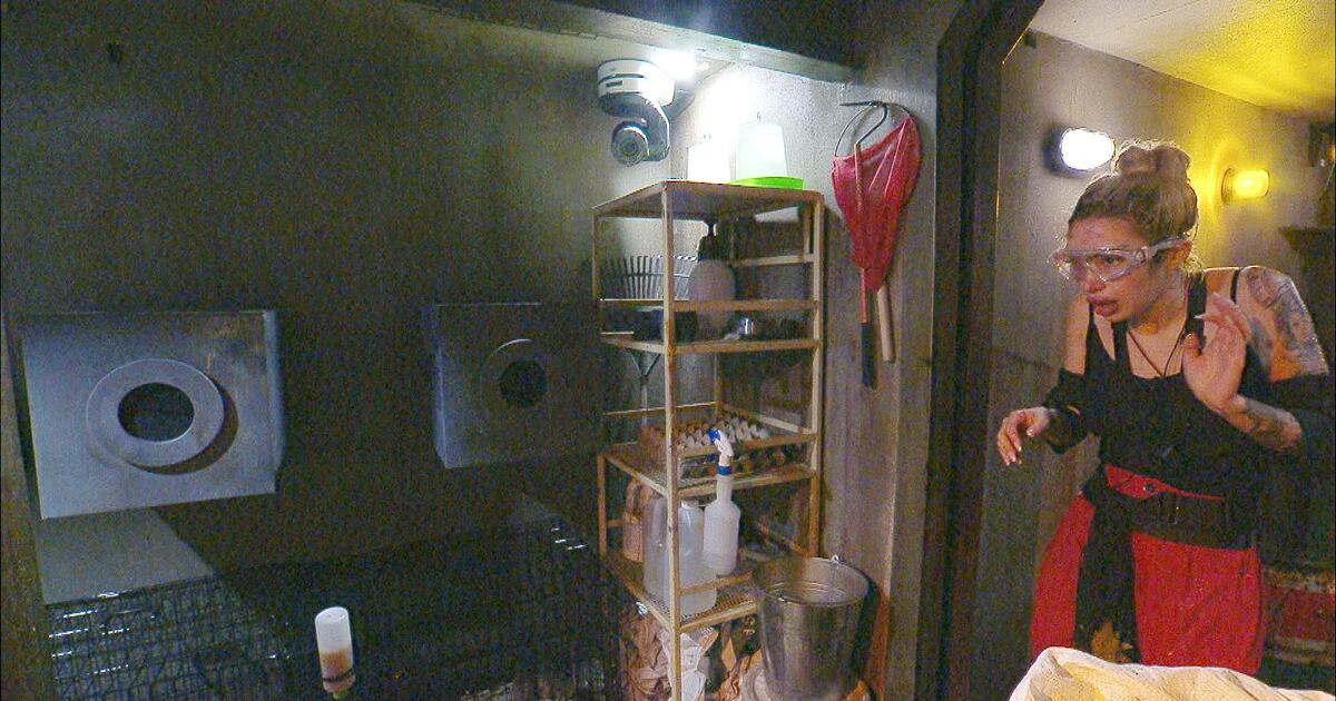 Dschungelpr-fung-an-Tag-5-Ariel-kann-doch-Sterne-holen-wen-das-Publikum-jetzt-w-hlte