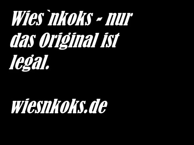Bilder aus dem Wiesnkoks-Video
