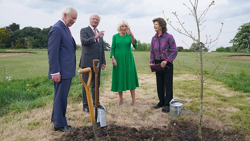 König Charles, König Carl Gustaf, Königin Camilla und Königin Silvia (v.l.) neben der gepflanzten Eiche.