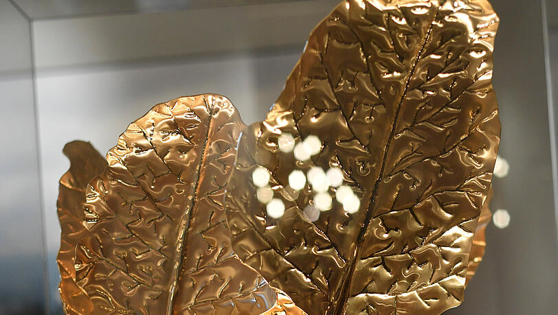 Der Kohlrabi mal anders: Das Naturthema der Ausstellung ist überall sichtbar.