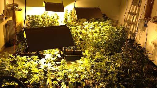 Die Polizei entdeckt in dem Haus eine Hanfplantage. Die Polizei entdeckt in dem Haus eine Hanfplantage.