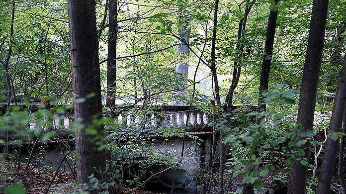 Eine Frau soll am 24. Oktober in einem Busch im Englischen Garten vergewaltigt worden sein (Archivbild)