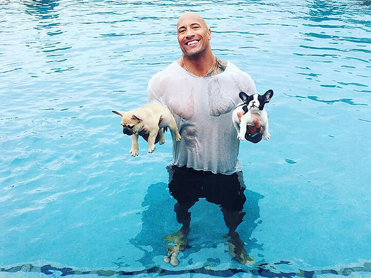 Dwayne "The Rock" Johnson mit seinen Familien-Neuzugängen: Brutus (l.) und Hobbs