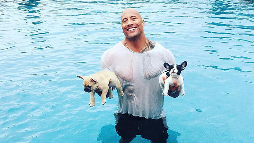 Dwayne "The Rock" Johnson mit seinen Familien-Neuzugängen: Brutus (l.) und Hobbs Dwayne "The Rock" Johnson mit seinen Familien-Neuzugängen: Brutus (l.) und Hobbs