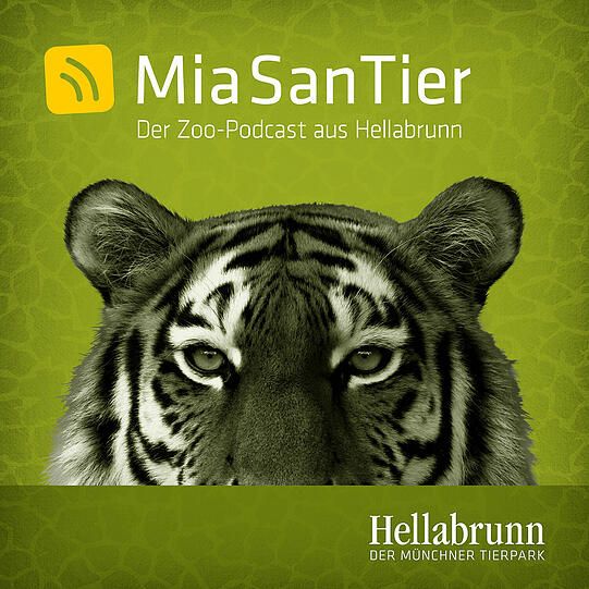 Beatrix Köhler erzählt in der neuen Podcast-Folge, ob und wie die Tiere das Ausbleiben der Besucher wahrnehmen.