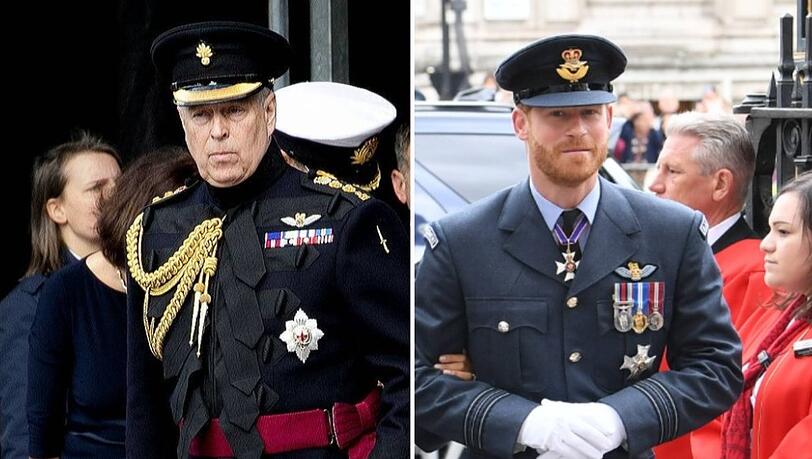 Prinz Andrew und Prinz Harry - beide wurden schon lange nicht mehr in Uniform gesehen.