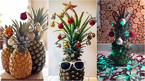 "Oh Ananas, oh Ananas, wie schön sind deine Blätter..." - Die schönsten, wildesten und süßesten Ideen, wie Sie ihre Ananas weihnachtlich dekorieren können, finden Sie in unserer Bildergalerie.