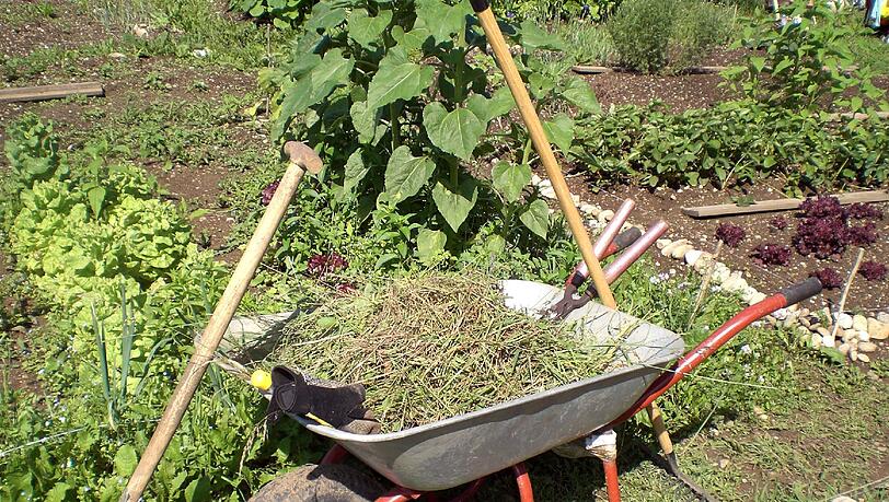 Ein Hochbeet ist im Gegensatz zum klassichen Garten nicht ebenerdig, sondern auf einem Hügel oder in einer erhöhten Konstruktion. Ein Hochbeet ist im Gegensatz zum klassichen Garten nicht ebenerdig, sondern auf einem Hügel oder in einer erhöhten Konstruktion.