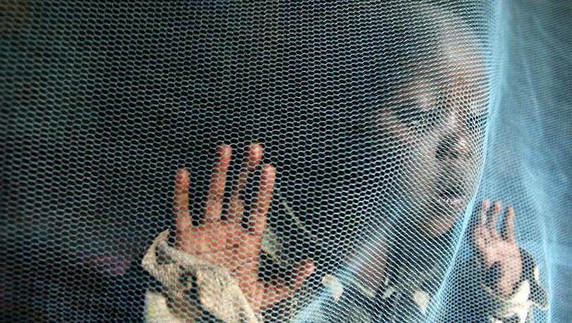 Angesichts von jährlich rund 400.000 Malaria-Toten hat die Weltgesundheitsorganisation einen stärkeren Einsatz zur Verhinderung neuer Infektionen gefordert. Angesichts von jährlich rund 400.000 Malaria-Toten hat die Weltgesundheitsorganisation einen stärkeren Einsatz zur Verhinderung neuer Infektionen gefordert.