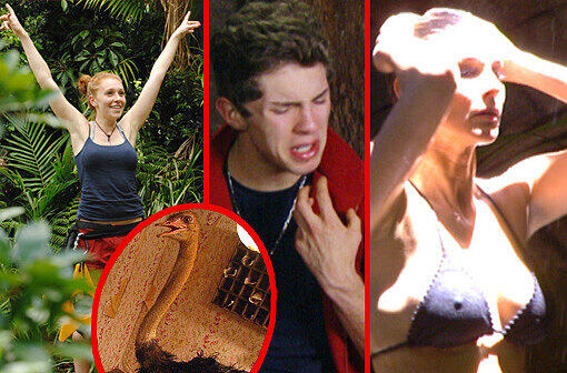 Georgina kann einen Weltrekord feiern, Joey beschwert sich über das Essen im Camp und Claudelle duscht im knappen Bikini: Die Bilderstrecke von Tag 8 im Dschungelcamp.