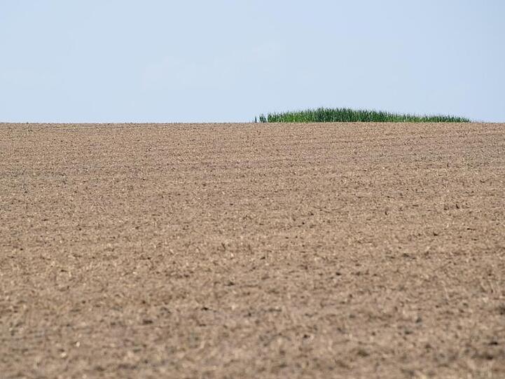 Trockener Ackerboden ist auf einem Feld zu sehen. Foto: Sven Hoppe/Archivbild