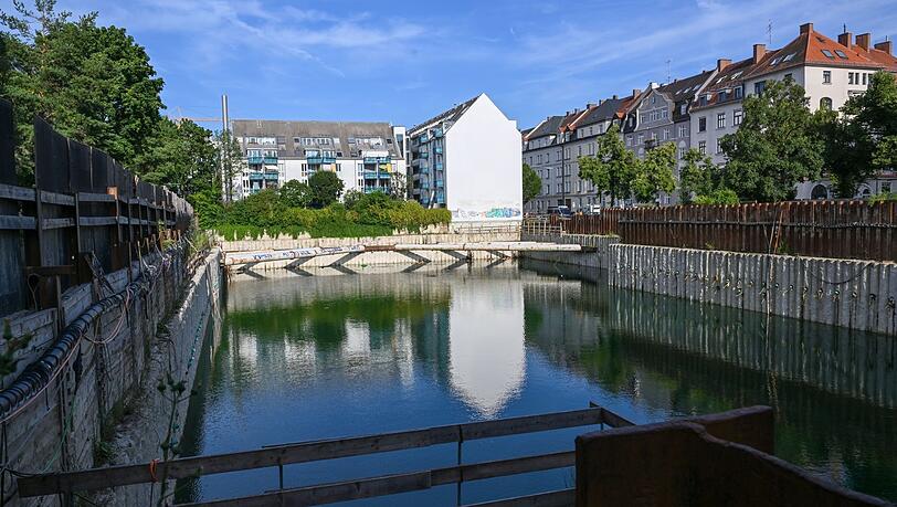 Das Sendlinger Loch: Hier leben mittlerweile sogar verschiedene Fischarten.