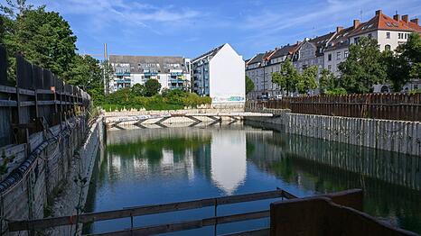 Das Sendlinger Loch: Hier leben mittlerweile sogar verschiedene Fischarten.