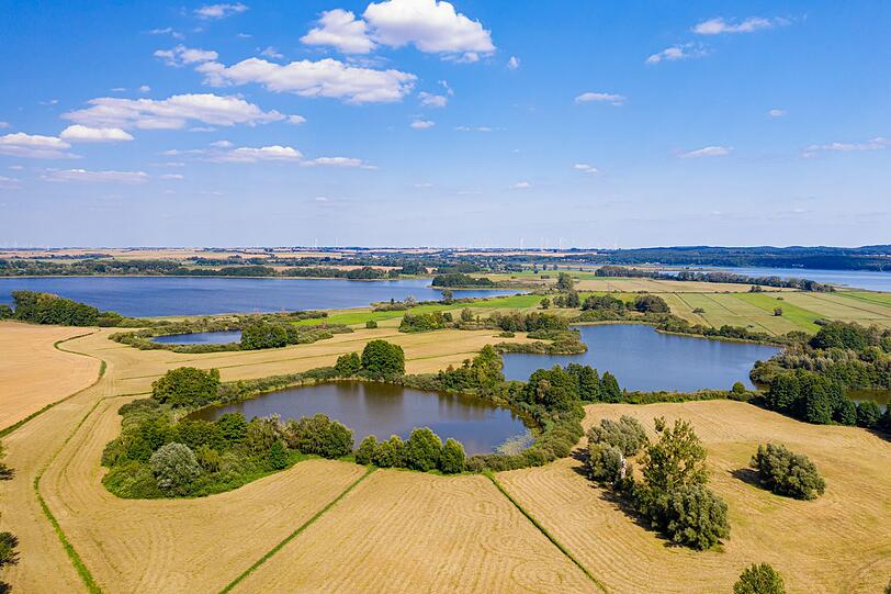 Nur gut eine Stunde von Berlin entfernt liegt die Uckermark mit ihrer weitestgehend unberührten und kaum besiedelten Natur. Große Teile stehen unter Schutz, darunter der Nationalpark Unteres Odertal und das Biosphärenreservat Schorfheide-Chorin. Wenn Sie es wirklich ruhig und naturbelassen mögen, sind Sie in dieser dünn besiedelten Region richtig. Nur gut eine Stunde von Berlin entfernt liegt die Uckermark mit ihrer weitestgehend unberührten und kaum besiedelten Natur. Große Teile stehen unter Schutz, darunter der Nationalpark Unteres Odertal und das Biosphärenreservat Schorfheide-Chorin. Wenn Sie es wirklich ruhig und naturbelassen mögen, sind Sie in dieser dünn besiedelten Region richtig.
