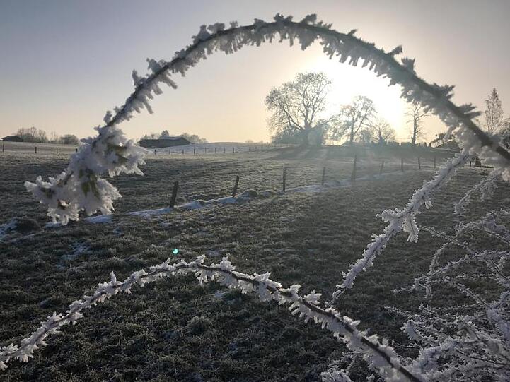 Nach einer kalten Nacht sind mit Frost überzogene Sträucher an einer Weide zu sehen. Foto: Stephan Jansen/dpa/Archivbild