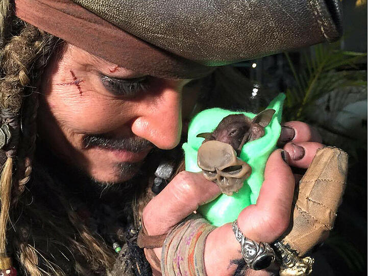 So süß kümmert sich Johnny Depp um den kleinen Jackie Sparrow.