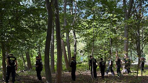 Im Berliner Tiergarten suchen Polizisten offenbar weitere Beweismittel zum Terroranschlag vom vergangenen Samstag.