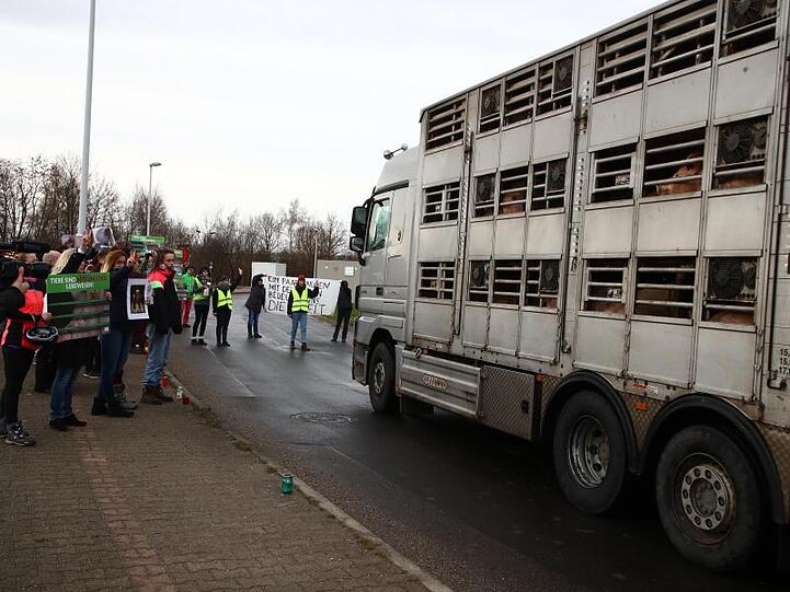 Aktivisten halten einen Tiertransport vor einem Schlachthof auf.
