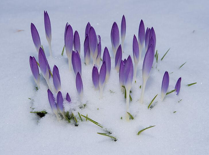 Wintereinbruch in Bayern am meteorologischen Frühlingsanfang.