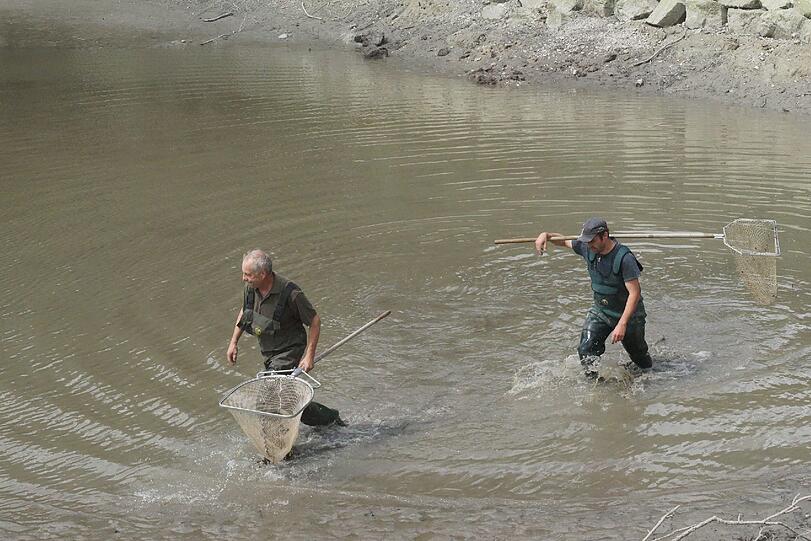 Wo ist Schnappschildkröte "Lotti"? Bilder von der großen Such-Aktion.