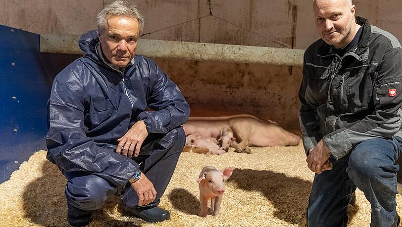 "Hannes Jaenicke: Im Einsatz für das Schwein": Der Schauspieler in einem neuartigen Familienhaltungsstall für Schweine von Ralf Remmert in Brandenburg.