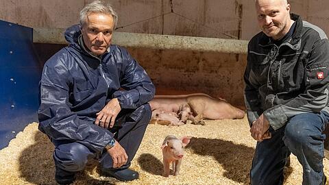 "Hannes Jaenicke: Im Einsatz für das Schwein": Der Schauspieler in einem neuartigen Familienhaltungsstall für Schweine von Ralf Remmert in Brandenburg.