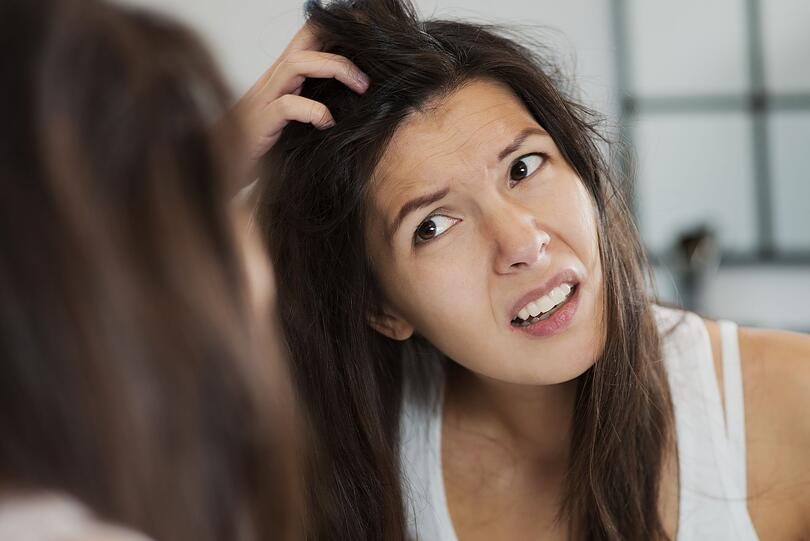 Auch Haare profitieren von einer stärkenden Haarkur aus Kartoffelwasser. Diese wird nach dem Haarewaschen aufgetragen und nach einigen Minuten Einwirkzeit gründlich ausgespült. Die Haare werden danach kräftiger, erhalten mehr Glanz und Geschmeidigkeit. Das Wasser hilft dabei gleichzeitig gegen eine juckende Kopfhaut, denn die Stärke im Wasser beruhigt die Haut. Auch Haare profitieren von einer stärkenden Haarkur aus Kartoffelwasser. Diese wird nach dem Haarewaschen aufgetragen und nach einigen Minuten Einwirkzeit gründlich ausgespült. Die Haare werden danach kräftiger, erhalten mehr Glanz und Geschmeidigkeit. Das Wasser hilft dabei gleichzeitig gegen eine juckende Kopfhaut, denn die Stärke im Wasser beruhigt die Haut.