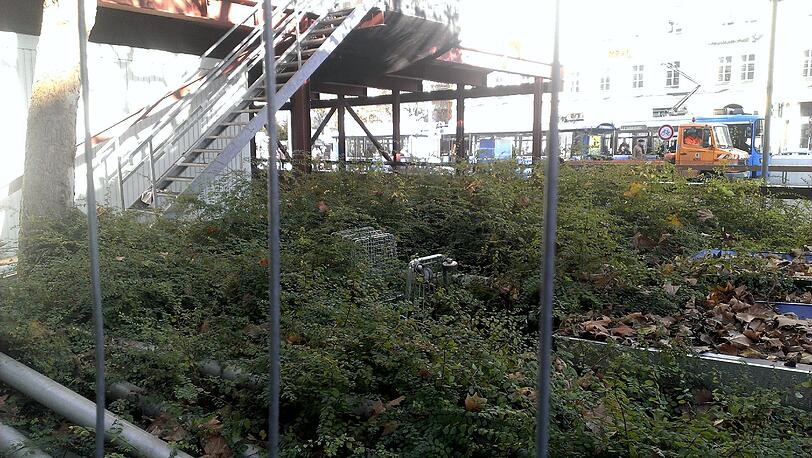 Dieser Einkaufswagen wird offenbar nicht mehr gebraucht.