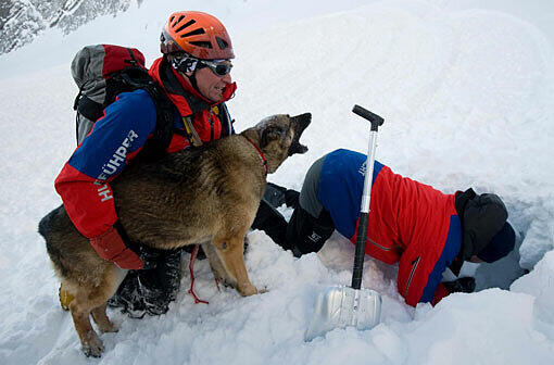 Zwei Hundeführer und ein Lawinensuchhund demonstrieren auf der Alpspitze bei Garmisch-Partenkirchen während einer Übung die Suche von Lawinen-Verschütteten (Symbolbild)