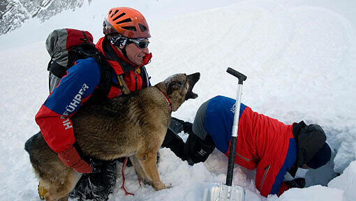 Zwei Hundeführer und ein Lawinensuchhund demonstrieren auf der Alpspitze bei Garmisch-Partenkirchen während einer Übung die Suche von Lawinen-Verschütteten (Symbolbild) Zwei Hundeführer und ein Lawinensuchhund demonstrieren auf der Alpspitze bei Garmisch-Partenkirchen während einer Übung die Suche von Lawinen-Verschütteten (Symbolbild)