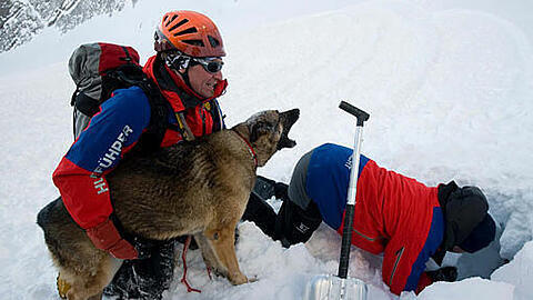 Zwei Hundeführer und ein Lawinensuchhund demonstrieren auf der Alpspitze bei Garmisch-Partenkirchen während einer Übung die Suche von Lawinen-Verschütteten (Symbolbild)