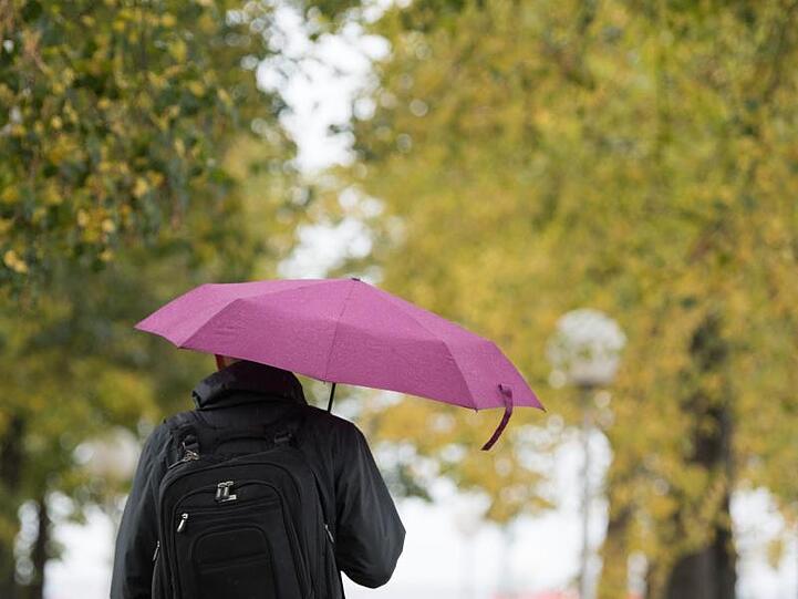 Ein Mann geht mit einem Regenschirm unter herbstlich gefärbten Bäumen entlang. Foto: Sebastian Kahnert/zb/dpa