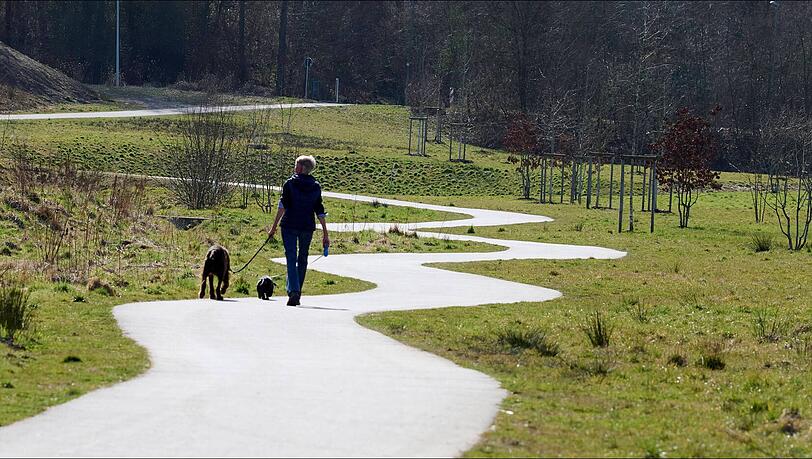 (AZ+) Münchner Tierrettung warnt Hundebesitzer: 'Genau hinschauen'