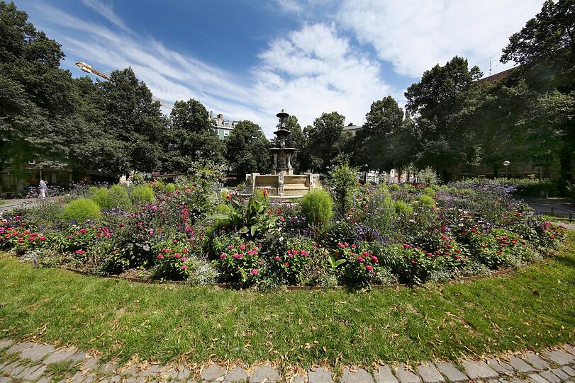 Das Wildblumen-Biotop rund um den Brunnen am Weißenburger Platz.