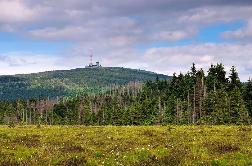 Doch meistens liegt der Brocken in einer nebligen Wolkendecke. Nur selten kommt die Sonne durch. Doch das Warten lohnt sich. Denn dann hat man eine unglaubliche Fernsicht: bei sehr guten Bedingungen bis ins 160 km entfernte Rothaargebirge. Bei exzellenten Bedingungen erkennt man sogar den etwa 224 km entfernten Fichtelberg. Ebenso spannend: die schmalspurige Brockenbahn. Doch meistens liegt der Brocken in einer nebligen Wolkendecke. Nur selten kommt die Sonne durch. Doch das Warten lohnt sich. Denn dann hat man eine unglaubliche Fernsicht: bei sehr guten Bedingungen bis ins 160 km entfernte Rothaargebirge. Bei exzellenten Bedingungen erkennt man sogar den etwa 224 km entfernten Fichtelberg. Ebenso spannend: die schmalspurige Brockenbahn.