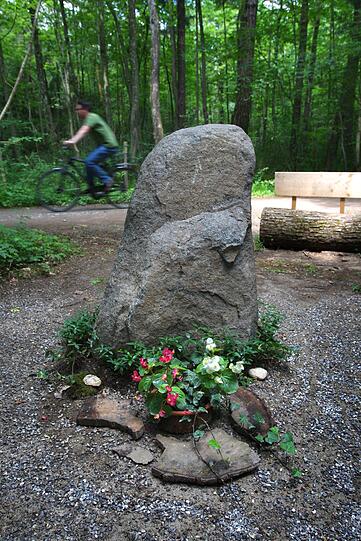 Er steht im Augsburger Siebentischwald zwischen zwei
Wegen.
