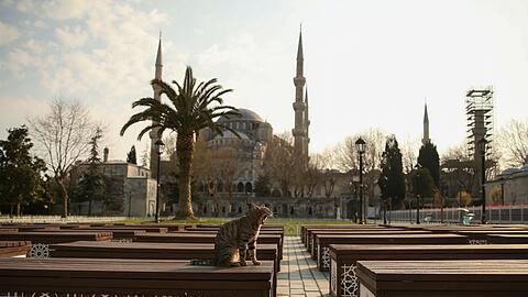 Das Kopftuch ist in der Türkei weiter umstritten, auch abseits von Gebetsstätten wie etwa die Blaue Moschee in Istanbul. (Archivbild)
