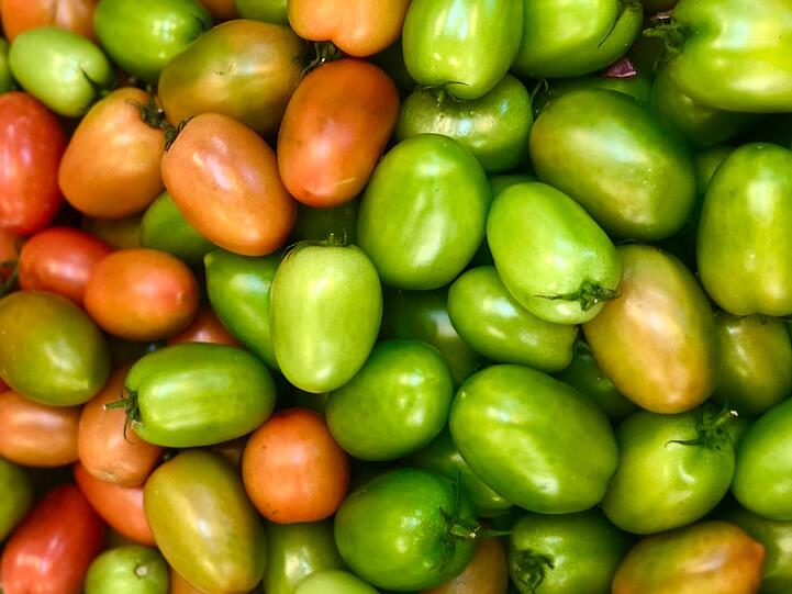 Wie man heute wei&szlig;, ist das Fruchtgem&uuml;se an sich nicht giftig, aber St&auml;ngel, Bl&auml;tter und der Stielansatz der Tomate in geringen Mengen schon. Denn in diesen Pflanzenteilen steckt sogenanntes Solanin. Dabei handelt es sich um ein Alkaloid, das schwach giftig wirkt und &Uuml;belkeit oder Erbrechen hervorrufen kann. Vorsicht: auch unreife, gr&uuml;ne Tomaten enthalten die giftige Substanz.
