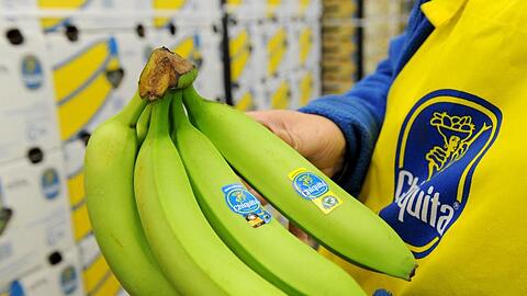 Immer mehr Verbraucher wollten wissen, wie ihre Lebensmittel produziert werden.