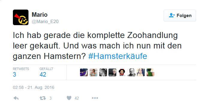 So amüsieren sich Twitter-User über die Hamsterkäufe im Konzept zur Zivilverteidigung.