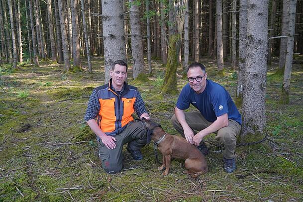 Die Förster Klaus Kagerer (r.) und Jan Linder suchen nach neuen Bäumen für den Münchner Wald, die der Hitze besser standhalten. Die Förster Klaus Kagerer (r.) und Jan Linder suchen nach neuen Bäumen für den Münchner Wald, die der Hitze besser standhalten.