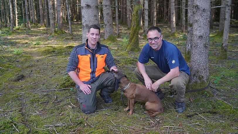 Die Förster Klaus Kagerer (r.) und Jan Linder suchen nach neuen Bäumen für den Münchner Wald, die der Hitze besser standhalten. Die Förster Klaus Kagerer (r.) und Jan Linder suchen nach neuen Bäumen für den Münchner Wald, die der Hitze besser standhalten.