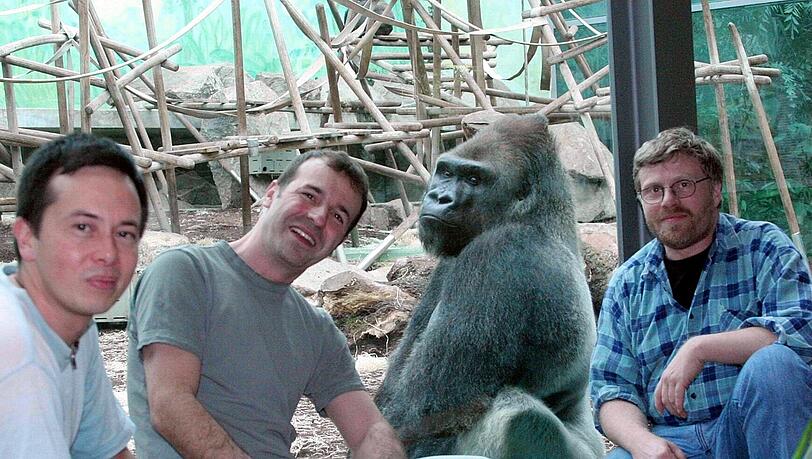 Der 1973 in Kamerun geborene Gorilla Roututu ist gestern gestorben.