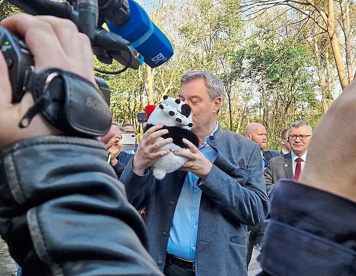 Bussi Bussi! Söder ist sichtlich angetan von dem plüschigen Panda, der sich ohne Gegenwehr knuddeln lässt.